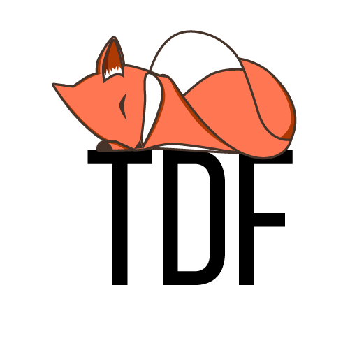 Logo The Digital Fox l Branding l Para você e sua empresa l The Digital Fox l Comunicação e marketing l Agência full service l TDF